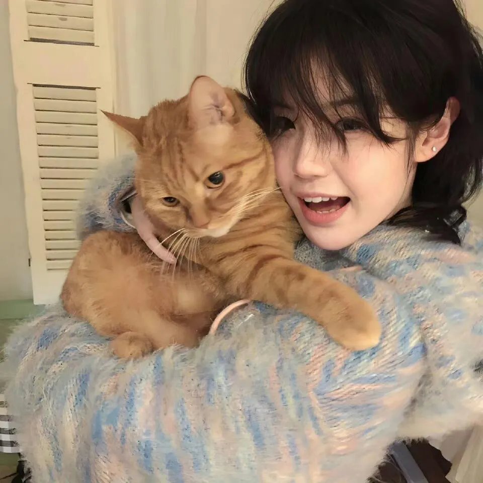 婆婆和妈妈升级版